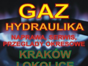 naprawa piecyków gazowych kraków tel.513090898 - zdjęcie 1