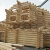 Ukraina.Gospodarstwa i grunty rolne.Cena 150 zl/hektar - zdjęcie 1