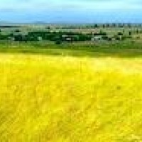 Ukraina.Ziemia rolna,sady,stawy itp. - zdjęcie 1